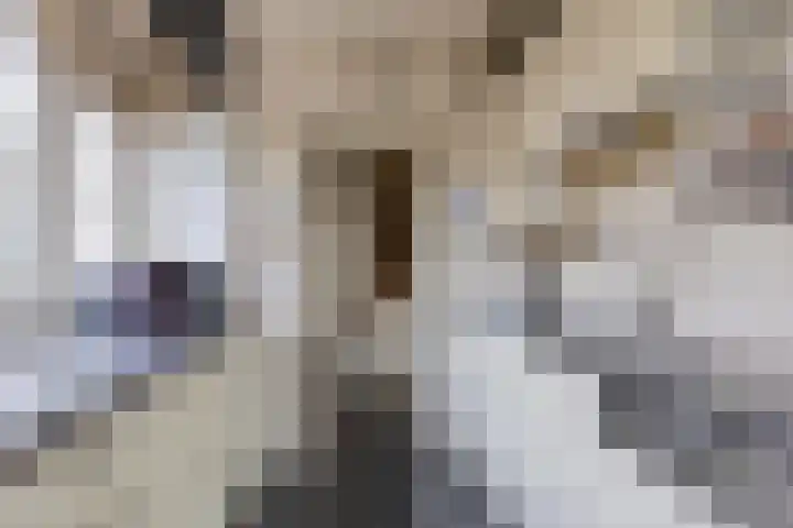 Oldenoert 84 Leek thumbnail 8