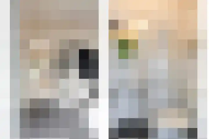 Oldenoert 84 Leek thumbnail 9