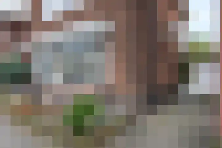 Oldenzaalsestraat 346 Enschede thumbnail 32