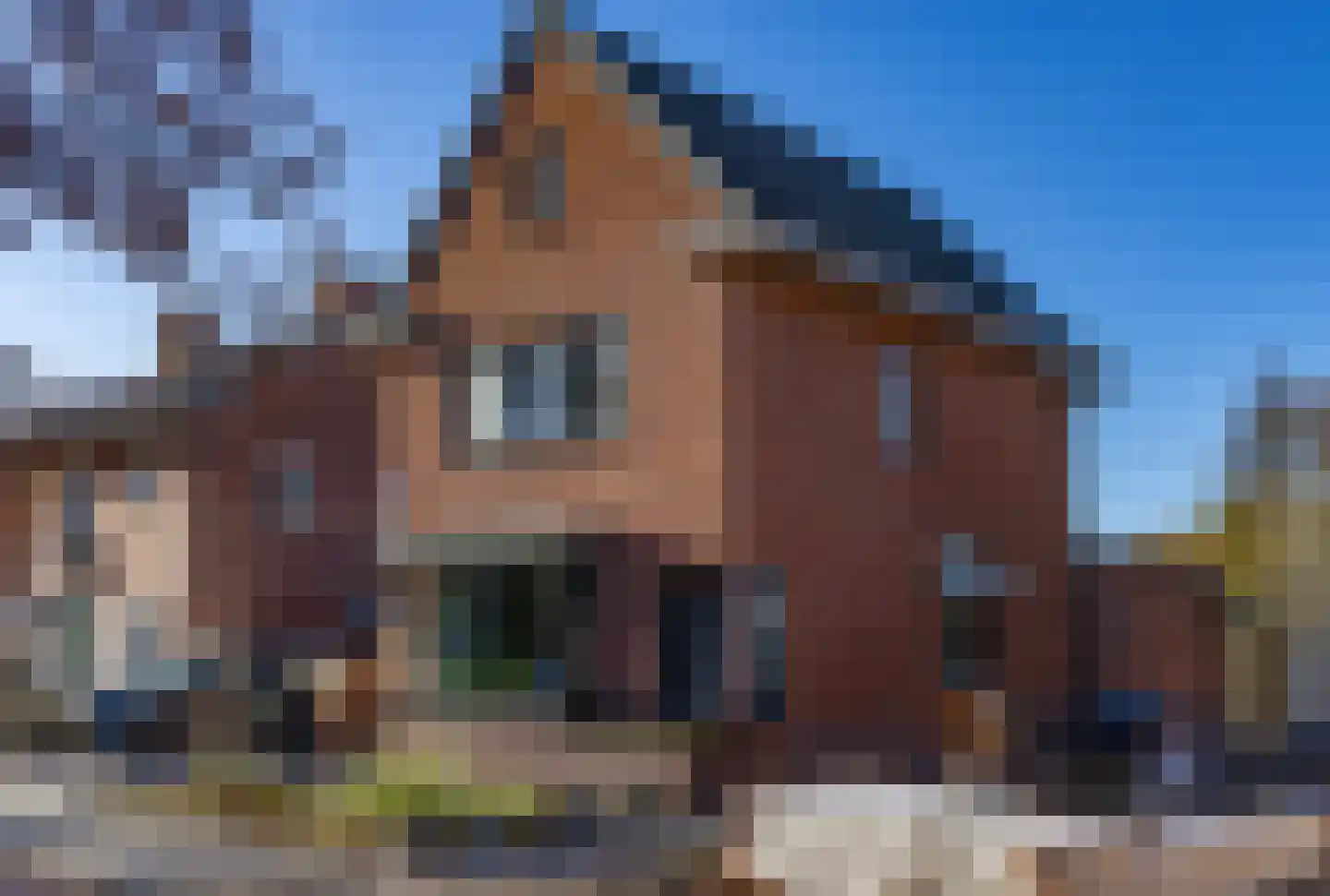 Oldenzaalsestraat 677 Enschede thumbnail 40