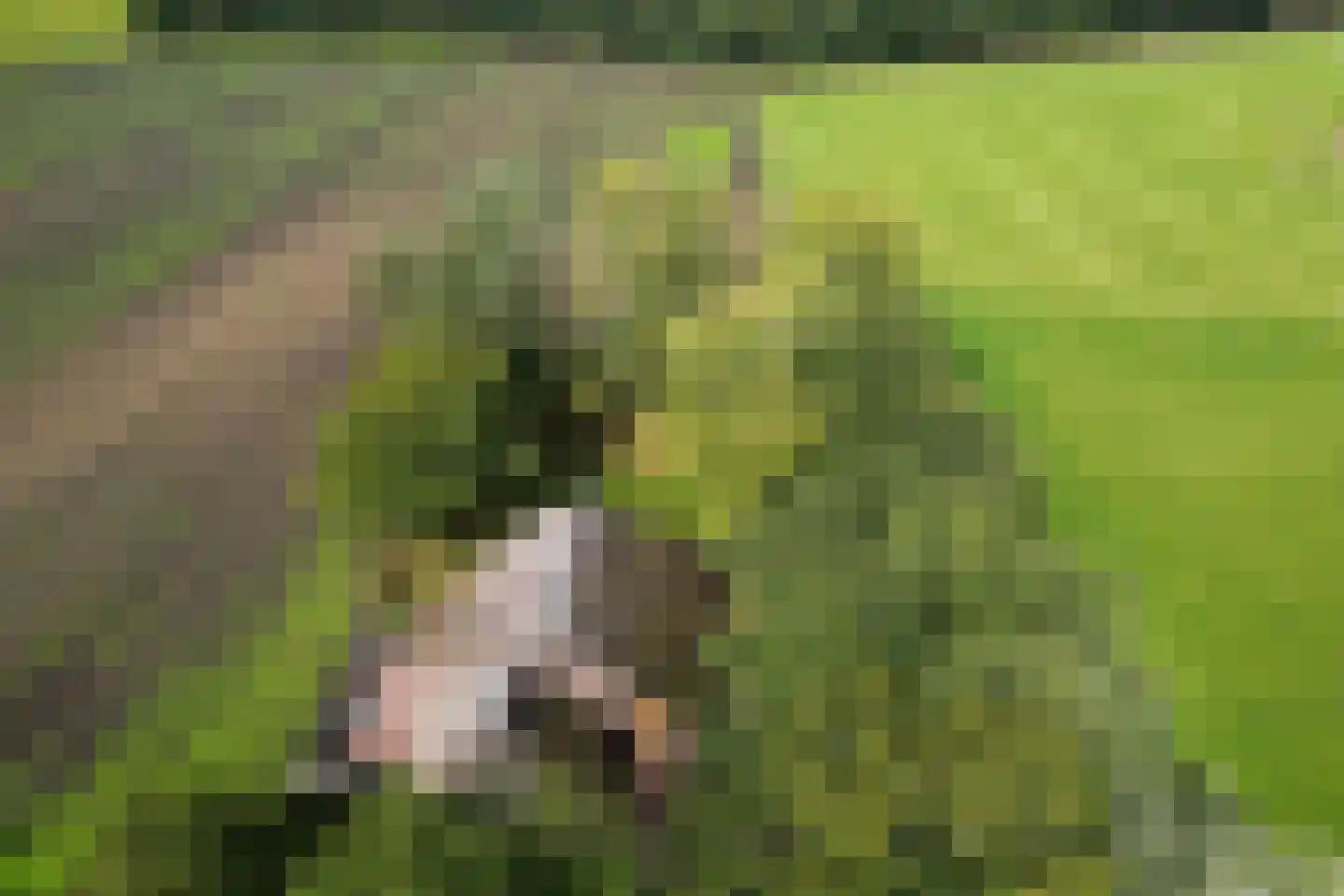 Oldeveen 5 Aalden thumbnail 4