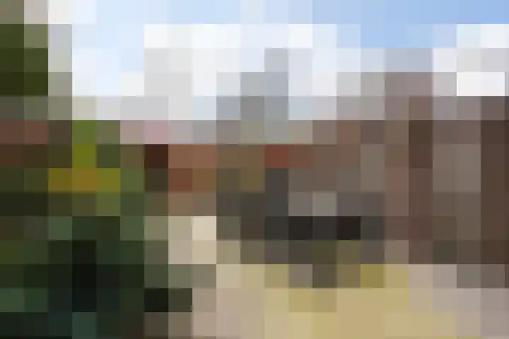 Oleander 19 Naaldwijk thumbnail 13