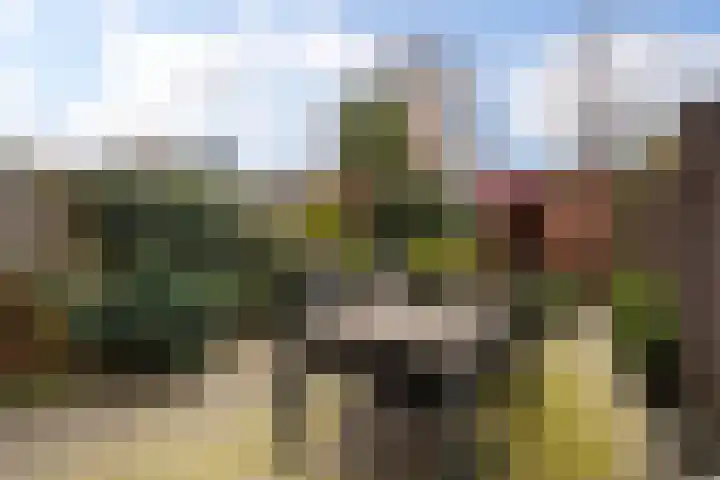 Oleander 19 Naaldwijk thumbnail 14