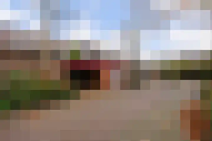 Oleander 19 Naaldwijk thumbnail 17