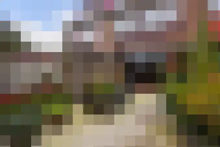 Oleander 19 Naaldwijk thumbnail 20