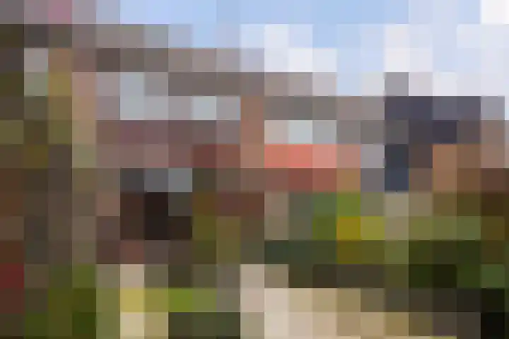 Oleander 19 Naaldwijk thumbnail 21