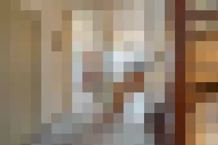 Oleander 19 Naaldwijk thumbnail 31