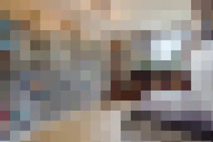 Oleander 19 Naaldwijk thumbnail 32