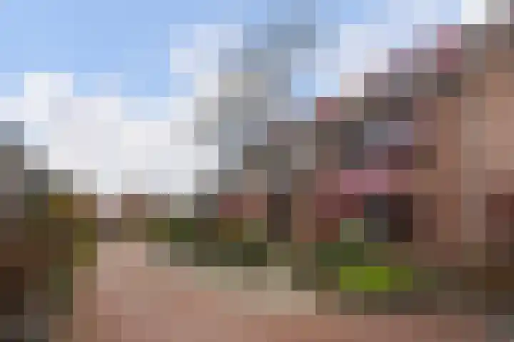 Oleander 19 Naaldwijk thumbnail 44