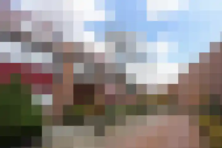 Oleander 19 Naaldwijk thumbnail 46