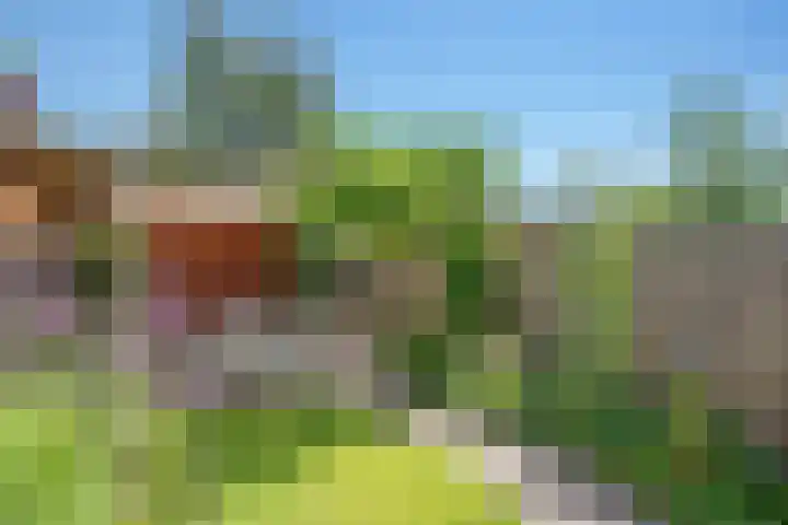 Oleander 58 Rijswijk thumbnail 18