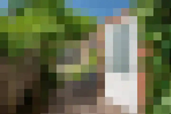 Oleander 58 Rijswijk thumbnail 22