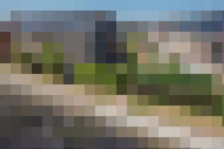 Oleander 58 Rijswijk thumbnail 40