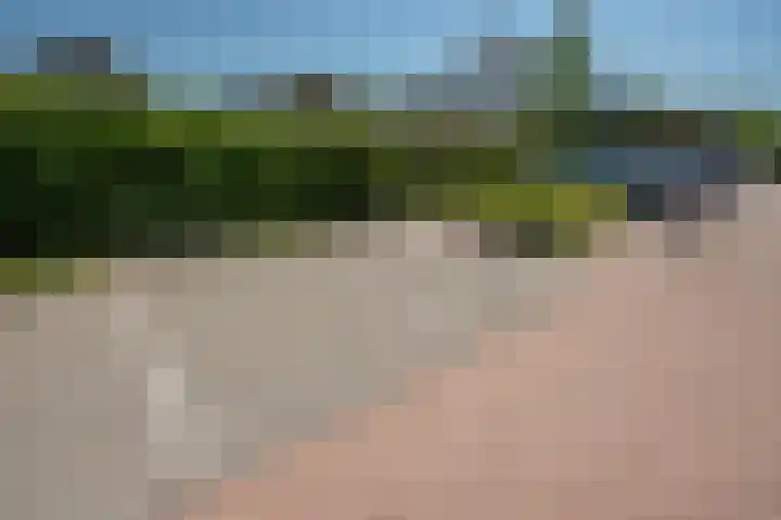 Oleander 58 Rijswijk thumbnail 41