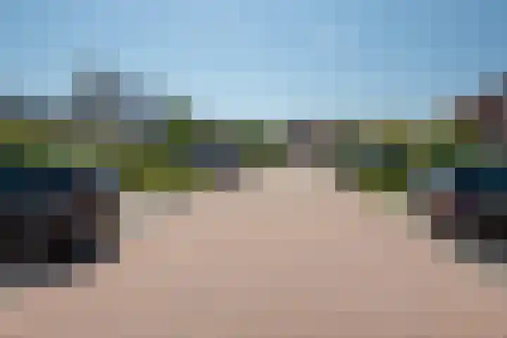 Oleander 58 Rijswijk thumbnail 42