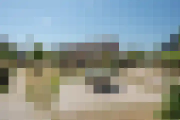 Oleander 58 Rijswijk thumbnail 43