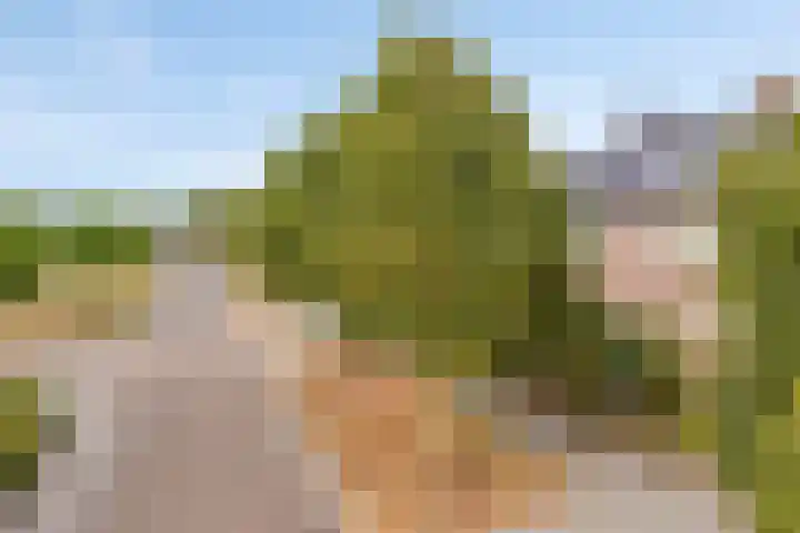 Oleander 6 a Haaksbergen thumbnail 9