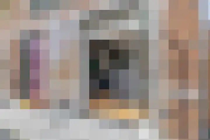 Oleanderlaan 2 Badhoevedorp thumbnail 19