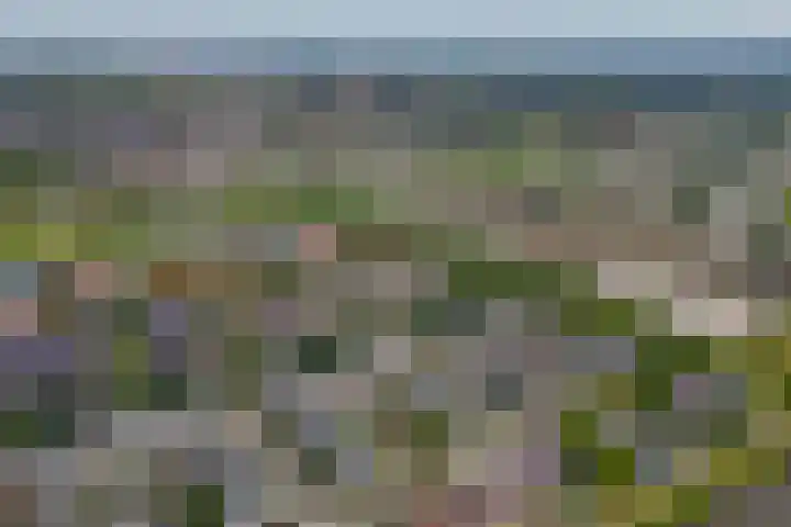 Oleanderlaan 2 Badhoevedorp thumbnail 45