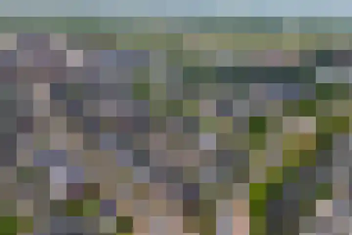 Oleanderlaan 2 Badhoevedorp thumbnail 51