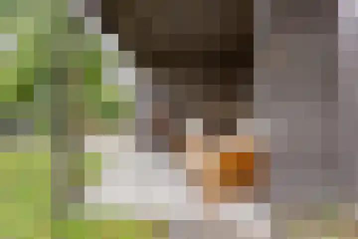Oleanderlaan 66 Badhoevedorp thumbnail 6