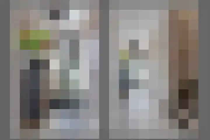 Oleanderlaan 94 Badhoevedorp thumbnail 37