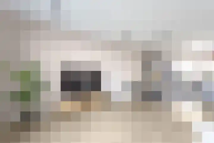 Oleanderlaan 94 Badhoevedorp thumbnail 7