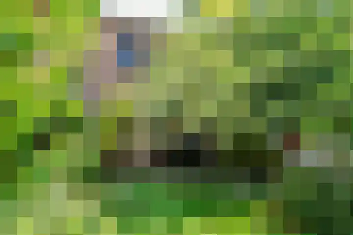 Oleanderstraat 115 Venlo thumbnail 22