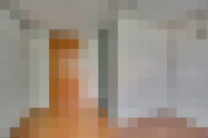 Oleanderstraat 127 Venlo thumbnail 25
