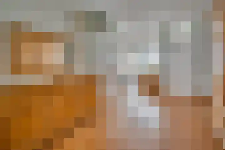 Oleanderstraat 127 Venlo thumbnail 8
