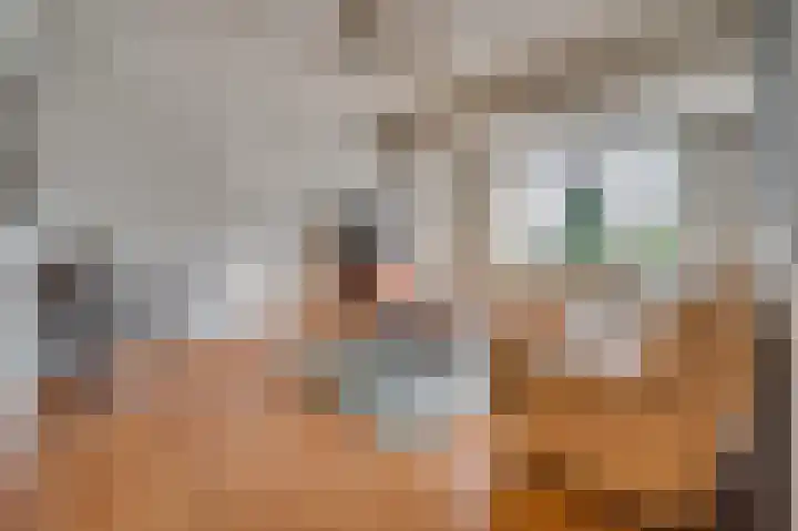 Oleanderstraat 127 Venlo thumbnail 9