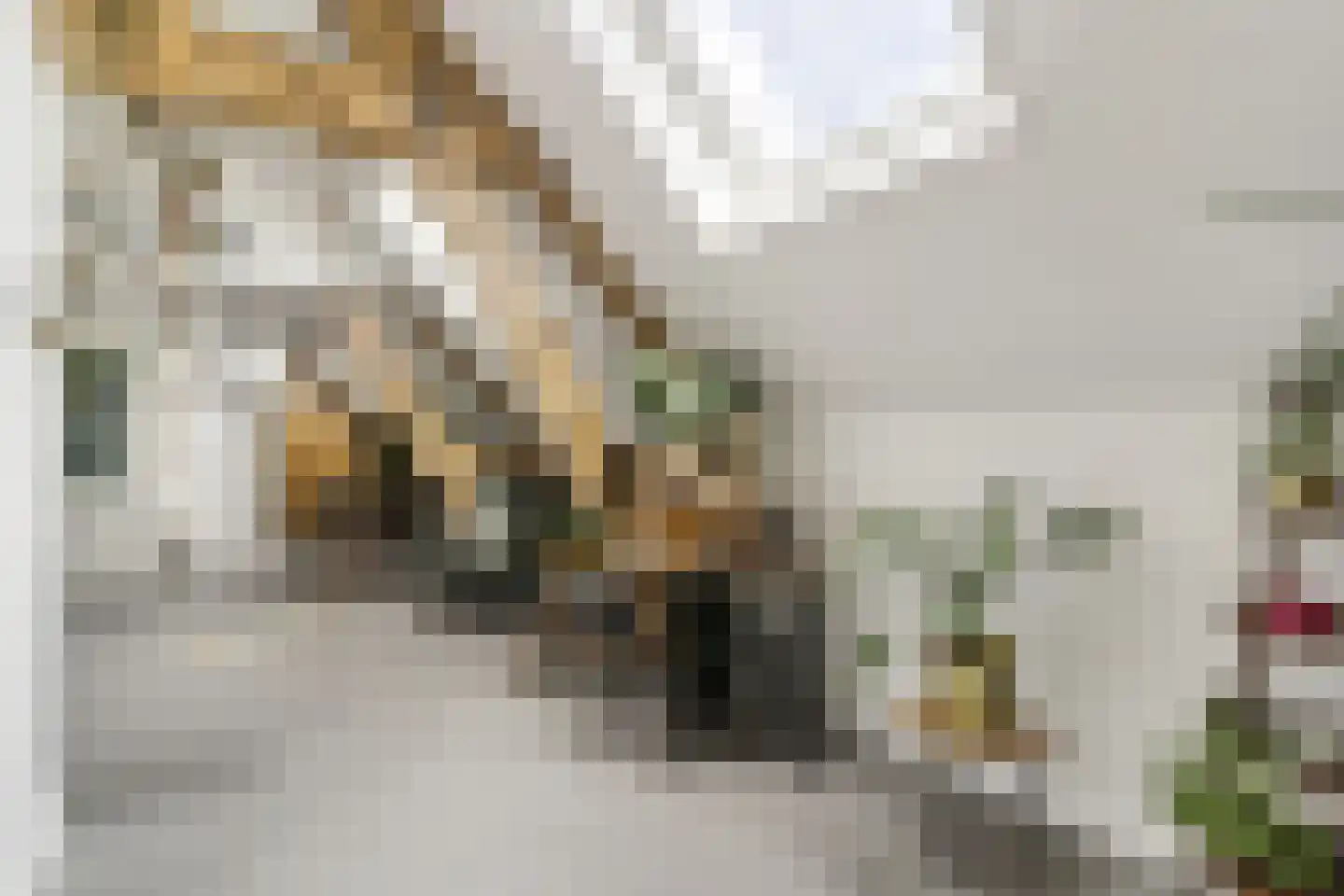 Oleanderstraat 135 Rotterdam thumbnail 10