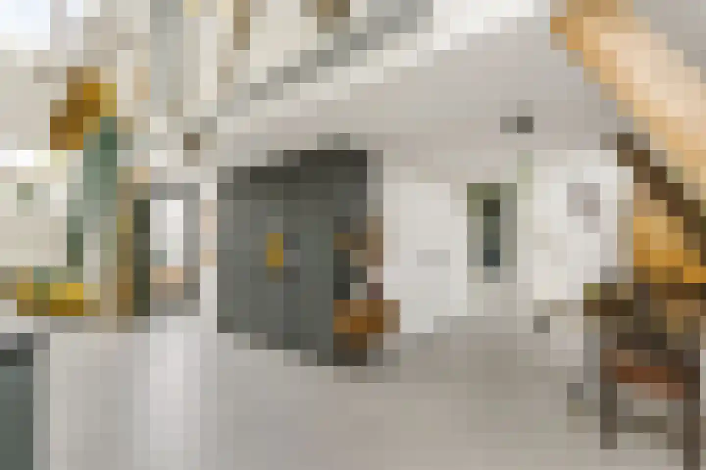 Oleanderstraat 135 Rotterdam thumbnail 11