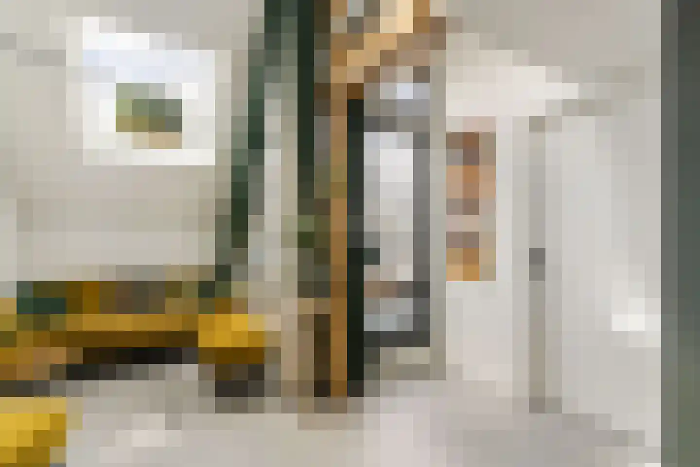 Oleanderstraat 135 Rotterdam thumbnail 18