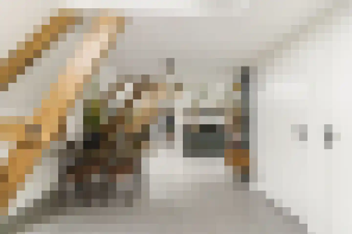 Oleanderstraat 135 Rotterdam thumbnail 26