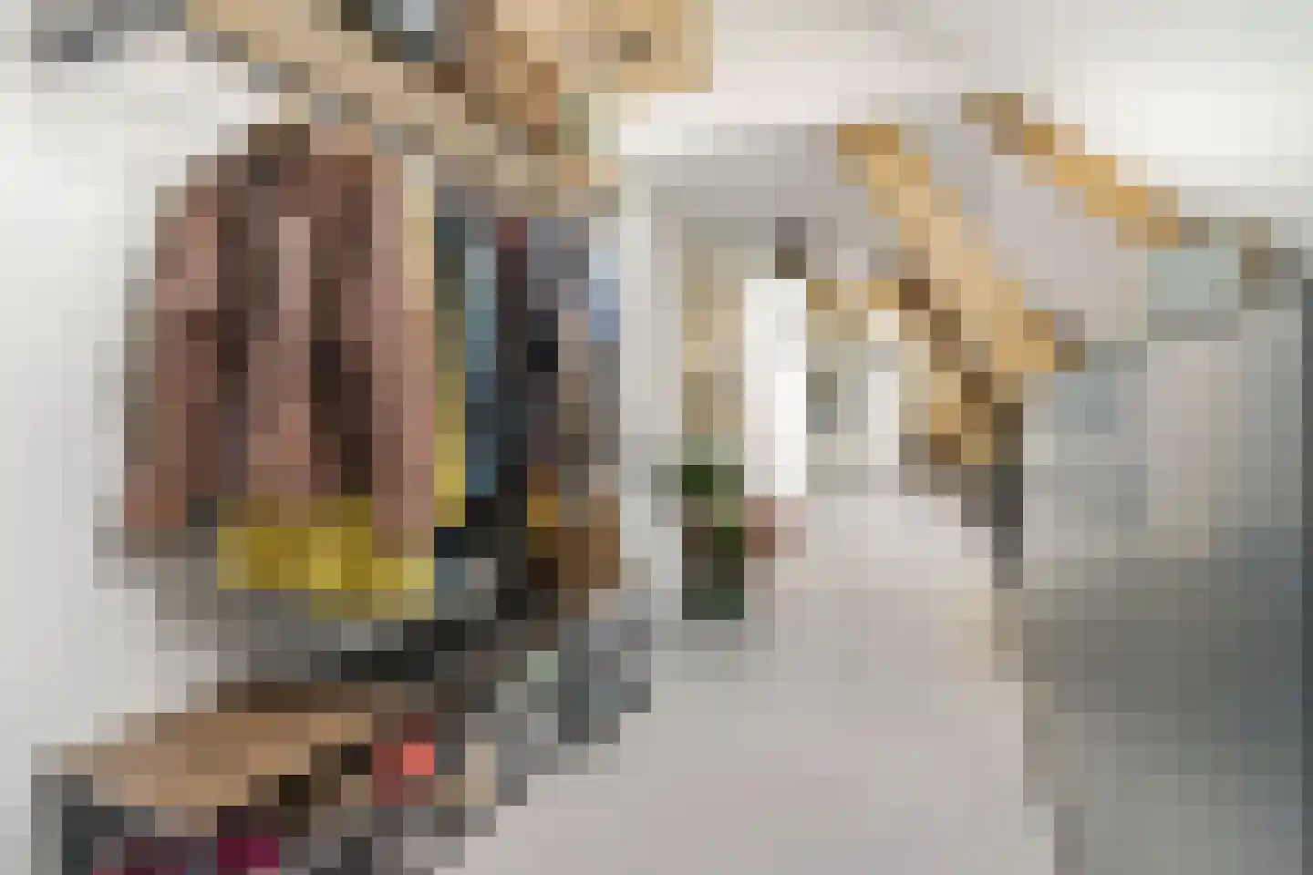 Oleanderstraat 135 Rotterdam thumbnail 8