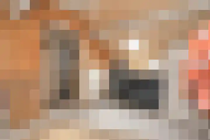 Oleanderstraat 20 Geleen thumbnail 25
