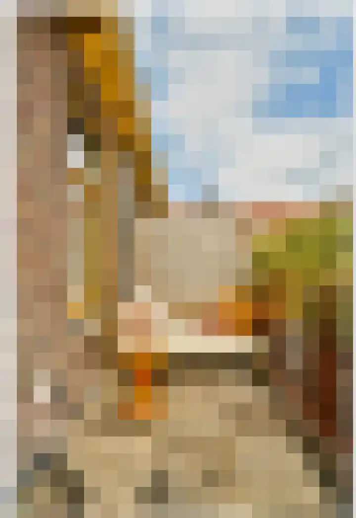 Oleanderstraat 33 A Amsterdam thumbnail 17