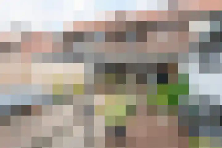 Oleanderstraat 33 Geleen thumbnail 19
