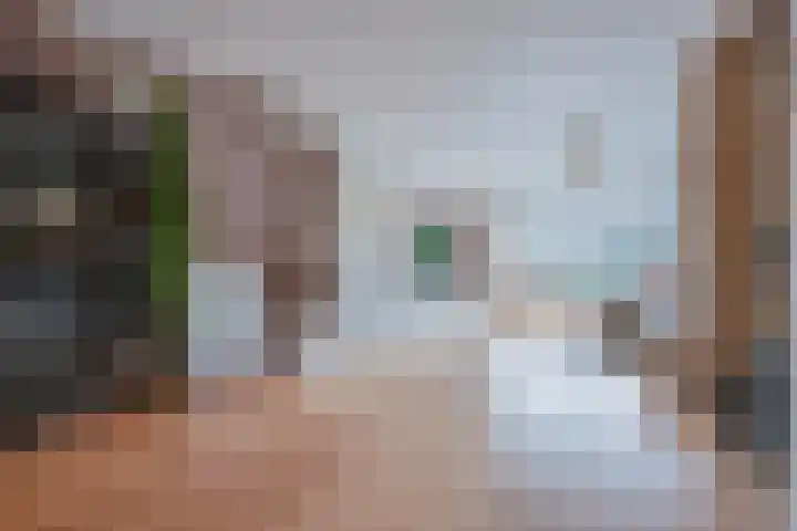 Olgaland 14 Den Haag thumbnail 15