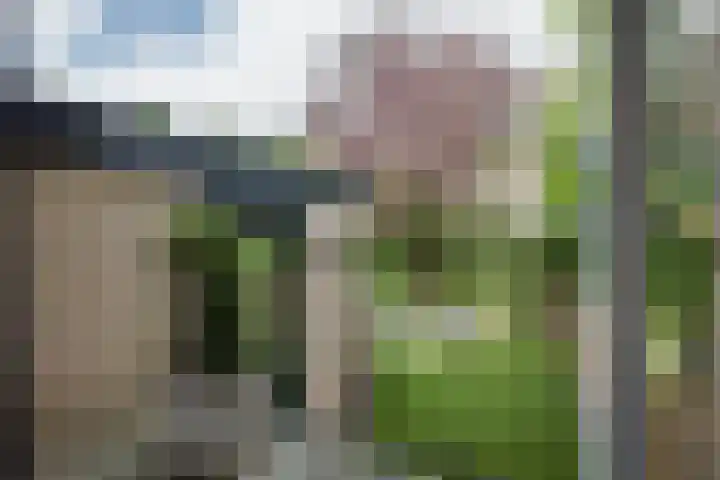 Olgaland 14 Den Haag thumbnail 16