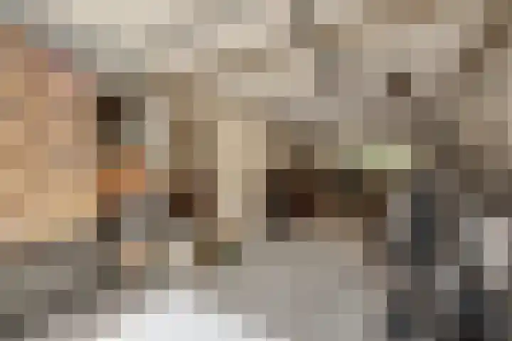 Olgaland 14 Den Haag thumbnail 31