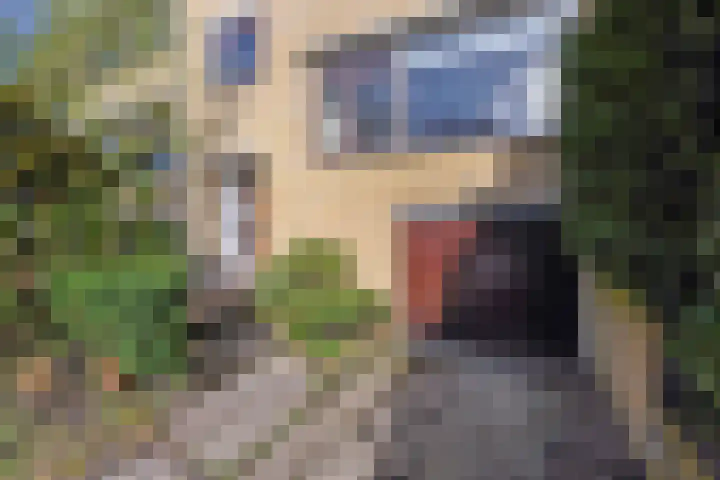 Olgaland 30 Den Haag thumbnail 41