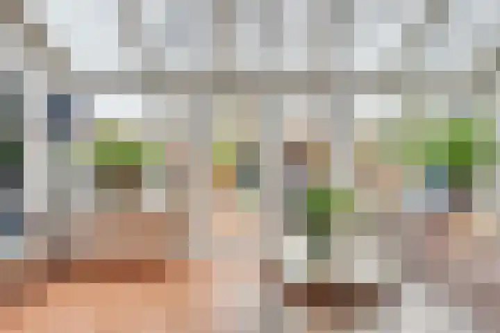 Oliemolen 146 Hoorn thumbnail 13