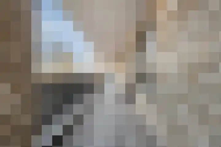 Oliemolen 40 Gemert thumbnail 10