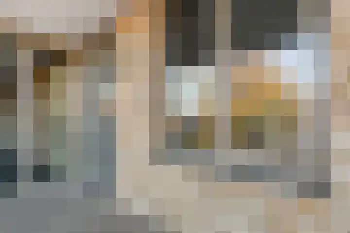 Oliemolen 40 Gemert thumbnail 11