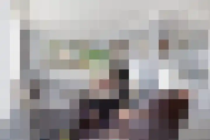 Oliemolen 40 Gemert thumbnail 14