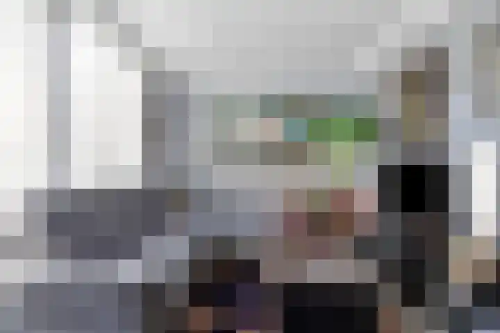 Oliemolen 40 Gemert thumbnail 15