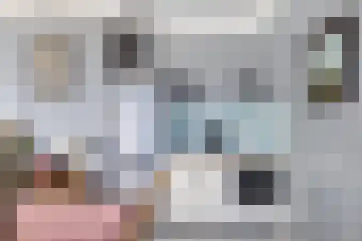 Oliemolen 40 Gemert thumbnail 19