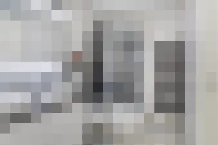 Oliemolen 40 Gemert thumbnail 26